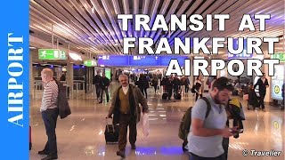 TRANSIT WALK AT FRANKFURT Airport FRA Terminal 1  Connection Flight Transfer Arriving amp Departing [upl. by Eimmat]